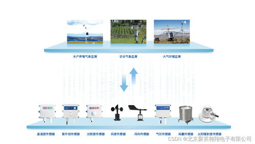 聚英農業(yè)氣象環(huán)境監(jiān)測系統(tǒng) 氣體檢測在智慧農業(yè)中的核心應用